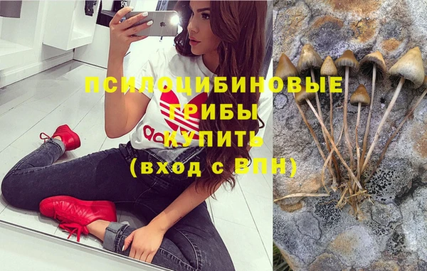 mix Белокуриха