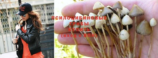 mix Белокуриха