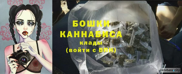 mix Белокуриха