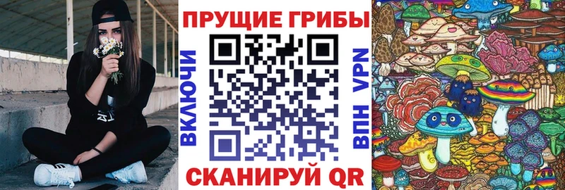 Псилоцибиновые грибы Psilocybine cubensis  цена   Нариманов 